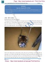 15 đề pen i môn văn thầy cường n2 hocmai 2017 (1) 