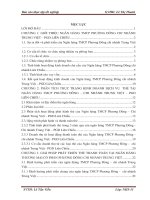 Báo cáo tốt nghiệp Ngân hàng: Phân tích tình hình dịch vụ thẻ tại ngân hang thương mại cổ phần Phương Đông  Chi nhánh Trung Việt