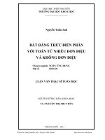 Bất đẳng thức biến phân với toán tử nhiễu đơn điệu và không đơn điệu