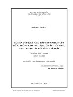 Nghiên cứu khả năng hấp thụ Carbon của rừng trồng Keo Tai tượng ở các tuổi khác nhau tại huyện Yên Bình – Tỉnh Yên Bá