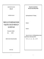 háp luật về kiểm soát hành vi quảng cáo gây nhầm lẫn tại Việt Nam