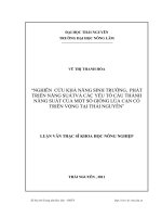 Nghiên cứu khả năng sinh trưởng, phát triển, năng suất và các yếu tố cấu thành năng suất của một số giống lúa cạn có triển vọng tại Thái Nguyên