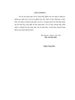 Mạng kohonen và ứng dụng cho việc đánh giá trình độ học vấn của các dân tộc tỉnh yên bái 