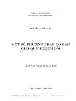 Một số phương pháp cơ bản giải quy hoạch lồi