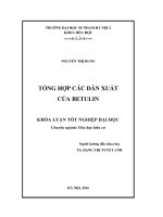 Tổng hợp các dẫn xuất của betulin (LV tốt nghiệp)