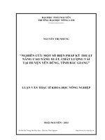 Nghiên cứu một số biện pháp kỹ thuật nâng cao năng suất, chất lượng vải tại huyện Yên Dũng, tỉnh Bắc Giang