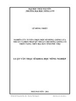 Nghiên cứu tuyển chọn một số dòng, giống lúa thuần và biện pháp kỹ thuật cho dòng, giống có triển vọng trên địa bàn tỉnh Phú Thọ