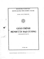 Giáo trình bệnh cây đại cương (chuyên ngành bảo vệ thực vật) 