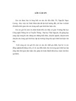 Nghiên cứu thuật toán ẩn thông tin trên ảnh số bằng kỹ thuật hoán vị hệ số và ứng dụng trong bảo mật dữ liệ 