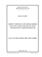 Nghiên cứu bệnh giun lươn (Strongyloidosis) ở trâu, bò tại một số địa phương thuộc tỉnh Thái Nguyên và biện pháp phòng trị