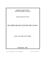 Đặc điểm truyện ngắn Hồ Thủy Giang