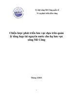 Chiến lược phát triển lưu vực dựa trên quản lý tổng hợp tài nguyên nước cho hạ lưu vực sông Mê Công