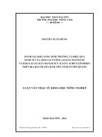 Đánh giá khả năng sinh trưởng và hiệu quả kinh tế của loài cây keo tai tượng (Acacia mangium) và keo lai (Acacia mangium x Acacia auriculiformis) trên địa bàn huyện Hàm Yên, tỉnh Tuyên Quang.