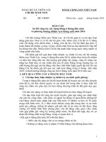 bao cao so ket cong tac dang 6 thang dau nam