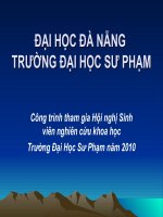 MỨC độ “NGHIỆN INTERNET” và mối QUAN hệ của nó với KIỂU NHÂN CÁCH của THANH THIẾU NIÊN ở một số TRƯỜNG TRÊN địa bàn TP đà NẴNG
