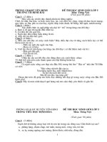 Bộ đề ôn thi HSG bậc tiểu học 5 TV 