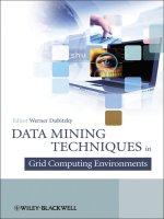 Data Mining in Grid Computing Environments [Dubitzky 2008-12-22]