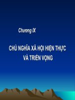 Chuong IX CHỦ NGHĨA xã hội HIỆN THỰC 