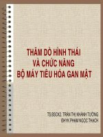 Thăm dò hình thái và chức năng bộ máy tiêu hóa gan mật
