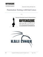 Penetration Testing with Kali Linux (2014)