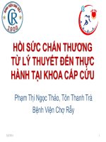 Hồi sức chấn thương từ lý thuyết tới thực hành tại khoa cấp cứu