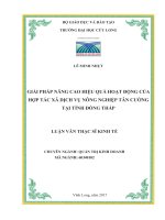 Giải pháp nâng cao hiệu quả hoạt động của Hợp tác xã Dịch vụ Nông nghiệp Tân Cường tại tỉnh Đồng Tháp (LV thạc sĩ)