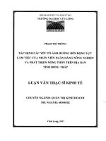 Xác định các yếu tố ảnh hưởng đến động lực làm việc của nhân viên Ngân hàng nông nghiệp và phát triển nông thôn chi nhánh Đồng Tháp (LV thạc sĩ)