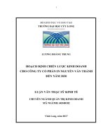 Hoạch định chiến lượt kinh doanh cho Công ty Cổ phần In Nguyễn Văn Thảnh đến năm 2020 (LV thạc sĩ)
