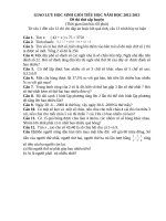 De  thi thu cap huyen 2012   2013 c 