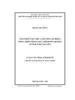 Giải pháp tạo việc làm cho lao động nông thôn trong quá trình đô thị hóa ở tỉnh Thái Nguyên (LV thạc sĩ)