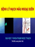 Bệnh lý mạch máu ngoại biên