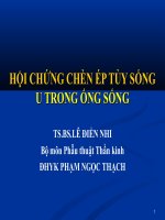 Hội chứng Chèn ép tủy sống, u trong ống sống
