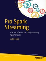 Apress pro spark streaming the zen of real time analytics using apache spark 