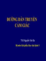 Đường dẫn truyền cảm giác