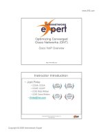 ont.cisco.voip.overview.1.01