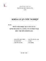 Phân tích hiệu quả sản xuất kinh doanh của công ty cổ phần đại siêu thị Mê Linh Plaza (LV tốt nghiệp)