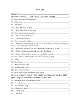 Bào cáo thực tập: Giải pháp phát triển ngành công nghiệp trên địa bàn Quận Liên chiểu giai đọn 2015-2020