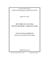 Nghiên cứu phát triển sản xuất hoa ở huyện Hoành Bồ, tỉnh Quảng Ninh (LV thạc sĩ)