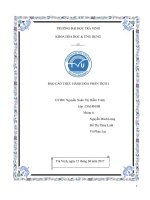 bao cao thuc hanh hoa phan tich 1