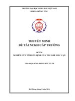 Giải pháp công nghệ đóng tàu cá lưới chụp tại công ty cổ phần đóng tàu sông đào nam định 