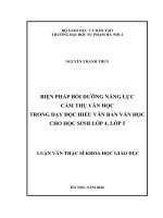 Biện pháp bồi dưỡng năng lực cảm thu văn học trong dạy học hiểu văn bản văn học lớp 4, lớp 5