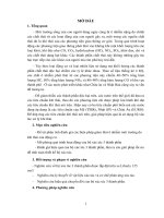 Nghiên cứu sử dụng phần mềm AVL BOOTS để đánh giá hiệu quả bộ xúc tác 4 thành phần 