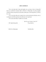Xây ựng phƣơng pháp đánh giá độ ền vỏ cầu ô tô tải ằng tính toán lý thuyết; khảo sát độ bền và đề xuất giải pháp cải thiện kết cấu vỏ cầu chủ động xe tải nh 2 45 tấn sản xuất, lắp ráp tại việt nam 