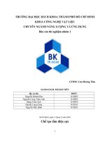 Báo cáo chế tạo tấm điện cực