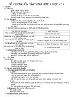 De cuong on tap sinh hoc 7 HK2