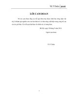 Nghiên cứu chế tạo, tính chất của vật liệu dây nano oxit kim loại bán dẫn nhằm ứng dụng cho cảm biến miễn dịch
