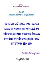 Nghiêng cứu chế tạo nano sắt từ oxit gắn kháng thể kháng kháng nguyên bề mặt viêm gan b ứng dụng tìm kháng nguyên bề mặt viêm gan b trong huyết thanh bệnh nhân