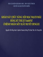 Khảo sát chức năng nội mạc mạch máu bằng kĩ thuật EndoPAT ở bệnh nhân sốt xuất huyết dengue