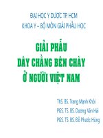 Giải phẫu dây chằng bên chày ở người việt nam