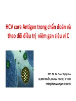 HCV core antigen trong chẩn đoán và theo dõi điều trị viêm gan siêu vi c